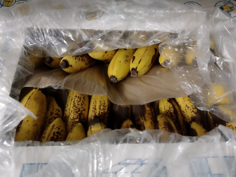 Flyworld Bananas 